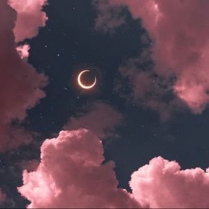 Meet your Posher, Ava